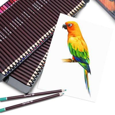 8 Best Oil-Based Colored Pencils For Artists In 2024